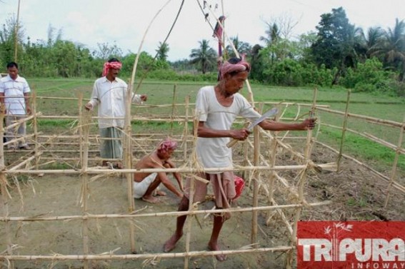 Tripura tribals prepares for Garia puja Tripura tribals prepares for Garia puja